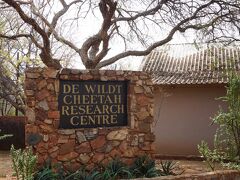 食後De Wild Cheetah Research Centreへ。
チーターの保護施設です。