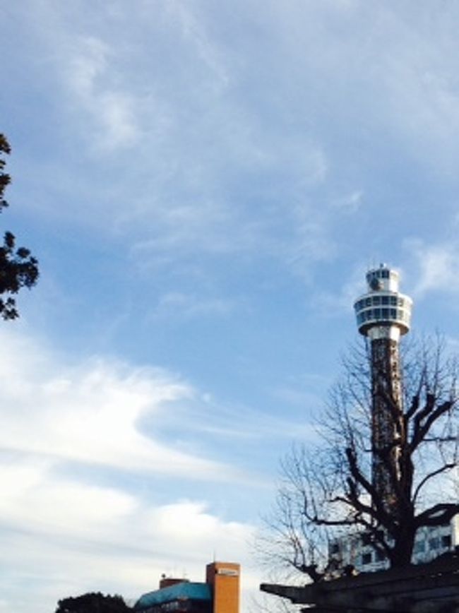中華街で思い思いに買い物を、次に向かったのは山下公園。<br />それにしてもいい天気だな〜〜<br />寒いけど（笑）