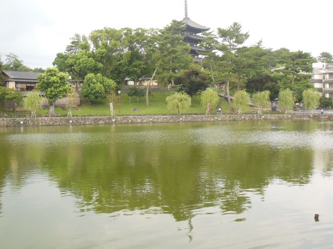 猿沢池越しに見る興福寺の五重塔
