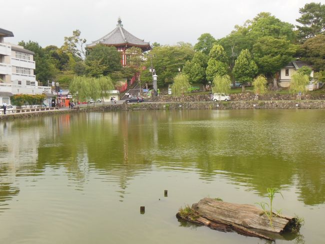 猿沢池腰に見る興福寺の南円堂