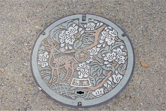 京都から近鉄奈良線に乗り換えて約1時間。<br />近鉄奈良駅で下車して、まずは興福寺に向かいます。<br />奈良のマンホールにはしっかり鹿の絵が。可愛い…。