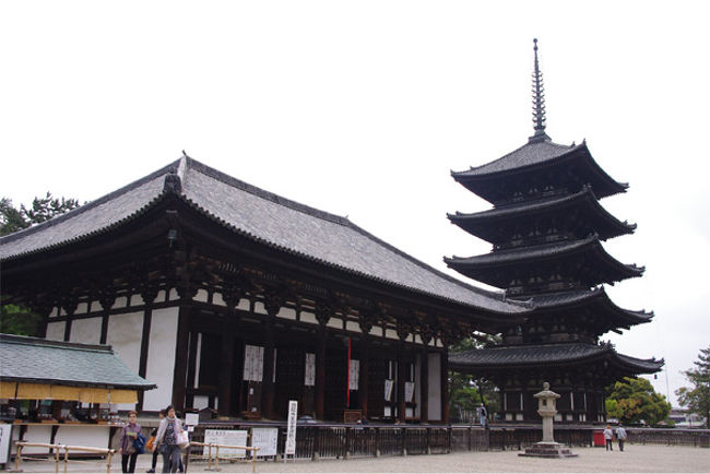 やってまいりました興福寺！<br />国宝館・東金堂連帯共通券￥800を支払い、東金堂へ。<br />ここには御本尊の薬師如来像、日光・月光菩薩像、ほかにも様々な仏像が安置されています。薬師如来様素敵だった〜。<br />