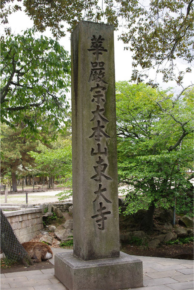 さて、そろそろ東大寺に向かいましょうかね。興福寺と東大寺はすぐ近く。<br />…と、なぜかここで私の掌が赤く腫れ始める。んんー？？もしかして漆でやられたか？？<br />近くの水道で手を洗ったらすぐに痒みと腫れが引いたので、やっぱり漆だったのかもしれん。金堂の手摺かな？？