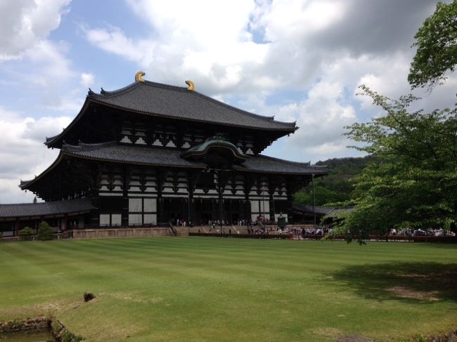 さぁ、見えてきました大仏殿！<br />観た瞬間、思わず「でっか！！」と呟いてしまった。<br />うゎーー！こんな大きかったっけ？！高校生の時に来たはずなのになにも覚えていない（＾ω＾;）ﾏｯﾀｸﾓｳ…