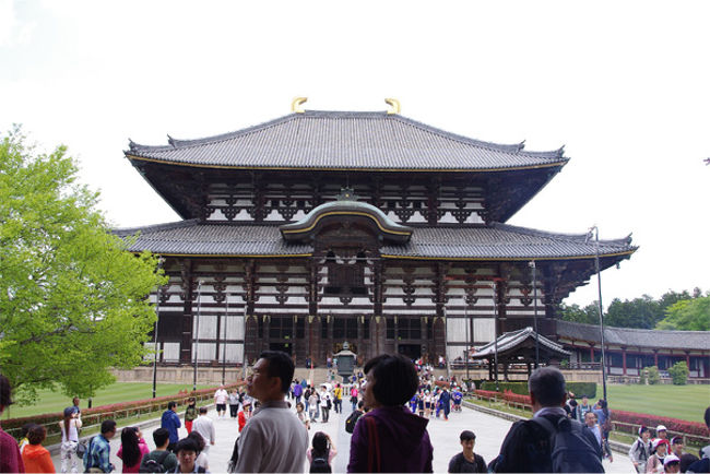 近づけば近づく程、その大きさに圧倒されます。