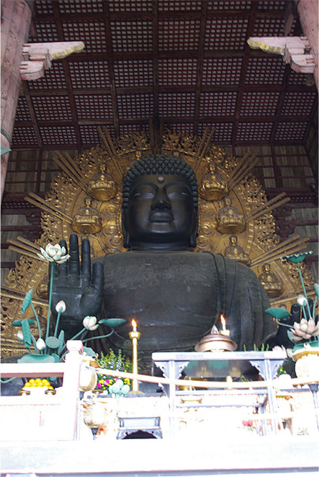 で、ようやく大仏様とご対面でーす！でっか！！