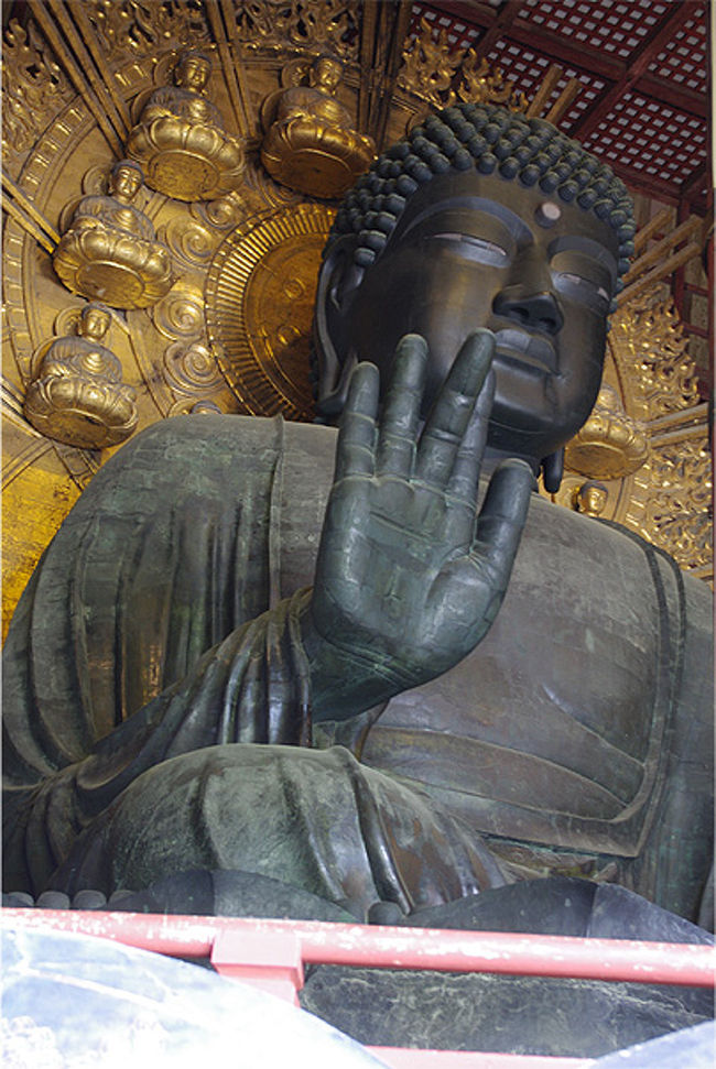 うわーうわーー！<br />奈良の大仏様すごーーーい！我が地元鎌倉の大仏様も立派だけど、こちらもなんて迫力なんだ…。<br />はるか昔から人々の願いや希望を一身に受けていた、そんな大仏様の深さが伝わってきます。