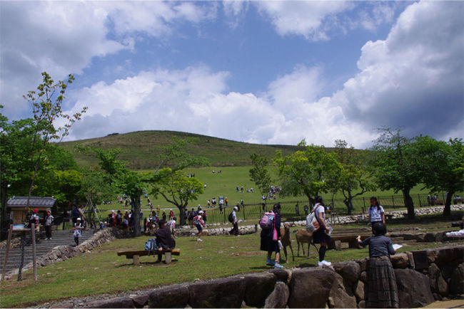 大満足の東大寺を後にして、次に向かうは春日大社。<br />けっこうな坂道を登っていきます。遠い…暑いぃぃ…！