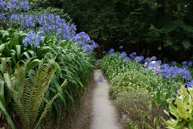 地上に出て、ひたすら散策です。