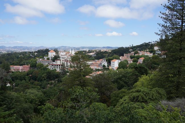 登ってみたらいいながめでした。