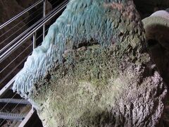 ジェノランケーブのすぐ近くで、ストラマトライトを見学。最古の生命体とも言われる貴重な岩石だそうです。ガイドさんが熱く語る話に引き込まれました。