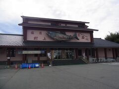 車で数分、村上の鮭の博物館「イヨボヤ会館」
イヨとは魚のこと。ボヤも幼児が使う方言で魚のこと。
イヨボヤとは「魚の最たるもの」という意味。
中に入ってかなり経ってから知るのですが、この建物の向こう側が三面川で地下１階の展示室は川の中がガラス越しに見えるようになっているのです。
この展示方法は目からうろこです。実際の川の状態（今の状態）が見えるのですから凄いことです。川に潜っているのと同じこと。
多種類の小魚がたくさん見えました。