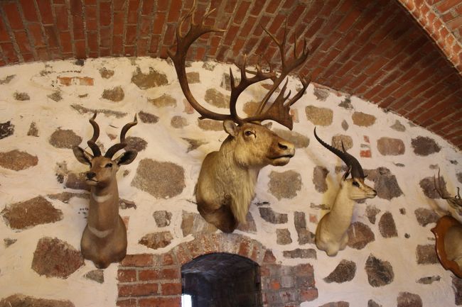 剥製のコレクションも。<br /><br />何方かがトラカイ城が面白かったと書いてました。<br />なので少し期待したのですが別段・・・・<br />湖に建つ古城で周りの雰囲気はいいし悪くはないですが。<br /><br />この後、杉原記念館に寄る予定でしたが、ナビがまた一方通行を逆走する道を案内したので取りやめにしました。<br />