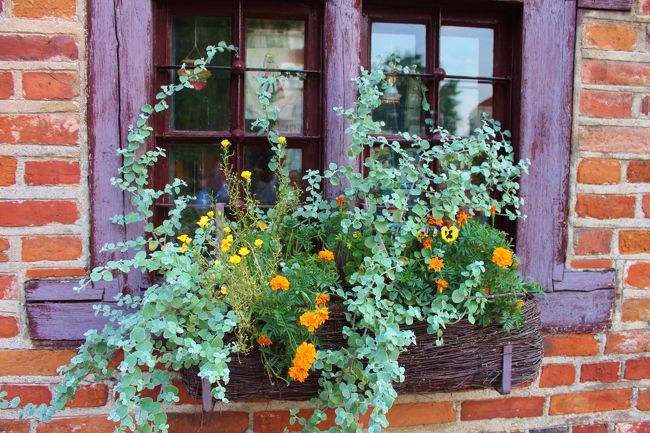 ヴィリュニスからリガに抜けるのにトラカイ城やカウナスは外せない観光スポットではありますが、私の心はリガに・・・・<br />カウナスは行かなくていいんじゃないの？と思ってましたが、意外にもいい街♪