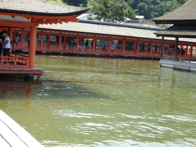神社は満潮の時に来たかったのです。<br />日が良かったのか、結婚式をあげていました。