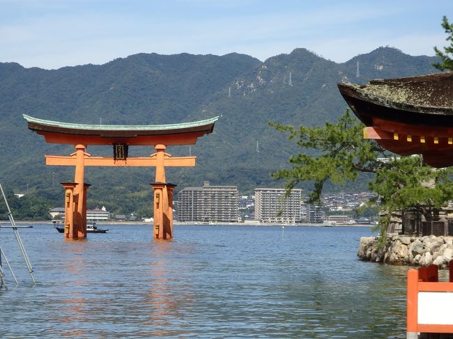 この日は満潮です！<br />干潮と満潮を見たかったのです！