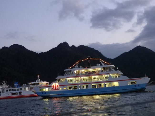 屋形船にのって、鳥居くぐりにいってきます。ライトアップした鳥居をみにいくのです。