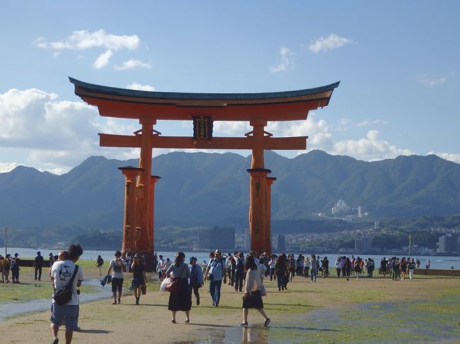 みんな歩いてます。