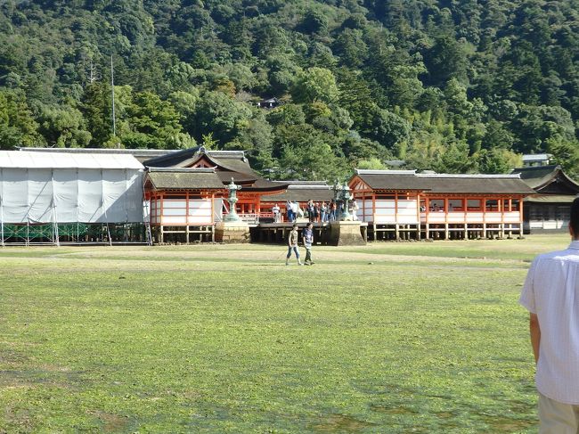 神社の方も水がない！