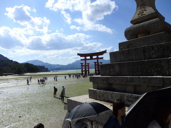 そして、ちょうど干潮の時間に合わせていたのです！<br />ということで、早速降ります！