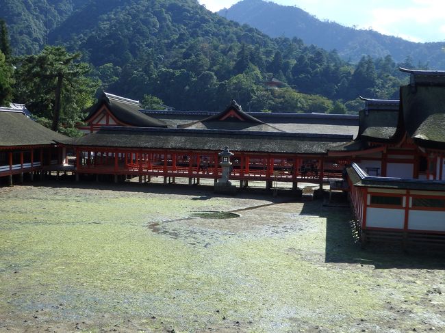 藻が多いのできれいとは言えないのですが(笑)<br />でも、小さな海の生物？タニシ？とかたくさんいて、楽しかったです。<br />汚れても良い靴で行くのがポイントかも。<br />海のなかに数時間前はあった場所なので、当然ながら濡れてます。