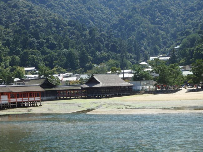 ちょうど引き潮。