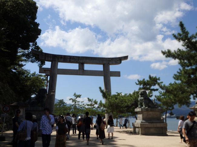 鳥居をくぐって、海を横目で見ながら。