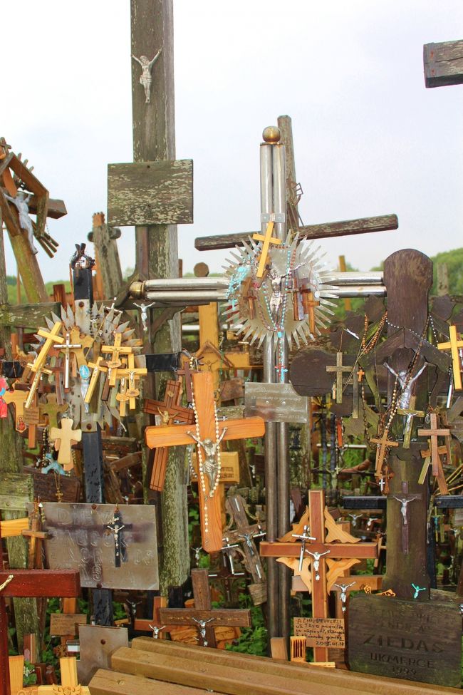 色んな種類があります。