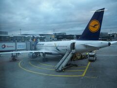 1時間のフライトで、フランクルトへ到着。

ルフトハンザって、言葉の響きからしてかっこよくで大好きなんだけど、CAさんもイケメンで乗っててかなり楽しめました。目の保養。笑