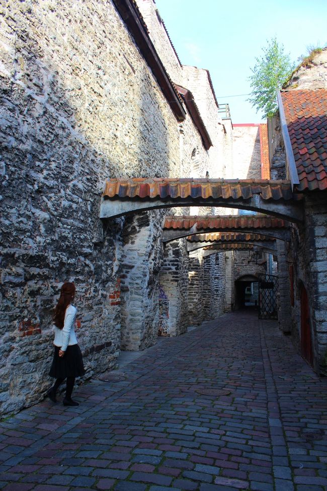 予期せず、カタリーナの小径に。<br /><br />今回、私が案内係り<br />リヴィニュス・リガ・タリンと同じような旧市街で何処に何かとっても混乱してました。<br />観光名所はピックアップしても方向音痴なのでホテルからの道も分からない・・・<br />