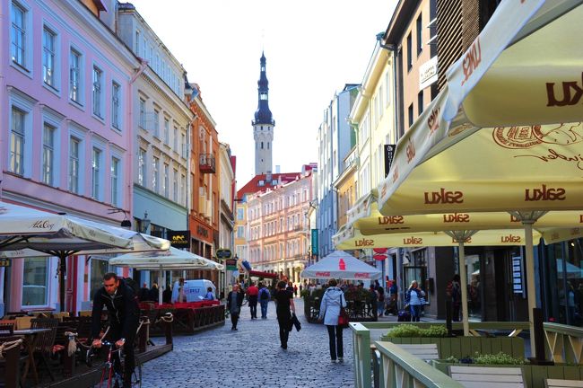 遠くに見えるのはタリンシティホール<br />1322メートルです。