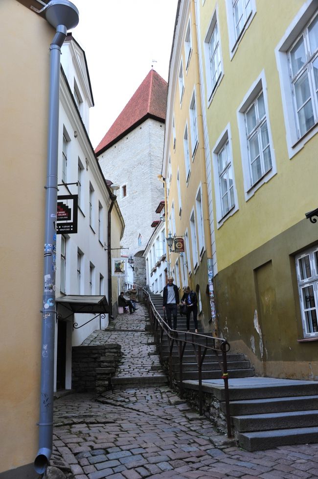 トムペアーに向かって行きましょう。