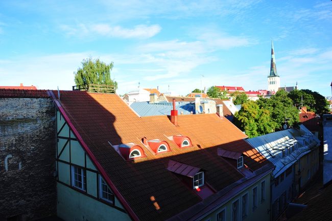 反対側の眺め<br />遠くに見えるのは聖オレフ教会