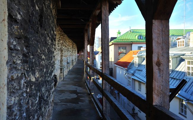 階段を登るとここに出ます。