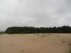 敦賀市松島町の気比松原．
日本三大松原のひとつ，国名勝．万葉集や日本書紀にも詠まれている古くからの景勝地．
長さ約1.5km，40万平米あり，松の平均樹齢は約200年．
17,000本もの松(8割以上が赤松)が並ぶ．