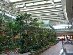 ９月１２日（土）

おはようございます♪
早朝の羽田空港第１ターミナルです。

制限エリアにこんな緑いっぱいの
癒しのスペースが出来ていたんですね〜
全く知らなかったです。

