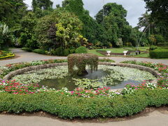 翌日訪れたのはペーラデニヤ植物園。キャンディ郊外にある広大な植物園です。