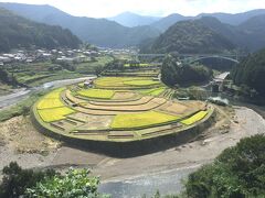 あらぎ島。

ちょうど稲刈り中で棚田がパッチワーク状態。

しばし棚田を眺める。

