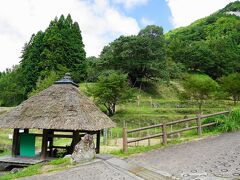 春にもやってきました「佛隆寺」さんです。奈良県宇陀市榛原赤埴1684

千年桜が有名なのですが、彼岸花がキレイなスポットでもあります。ここ２年ほど、獣の食害にあい鹿が新芽を食べ、イノシシが球根を掘り起こすなどし、無残な状態になってしまいました。石段の横にびっしりと咲く彼岸花が見事で、多くの人が来るスポットでした。

でも、今年は行政の力を借りて、防護柵を張り巡らせました。そしてボランティアの方達によって、６〜７月に計１万３０００個を植栽されたそうです。