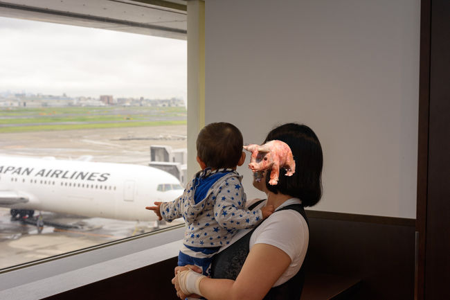 ラウンジからも飛行機が見える。<br />たむすけも満足そう。
