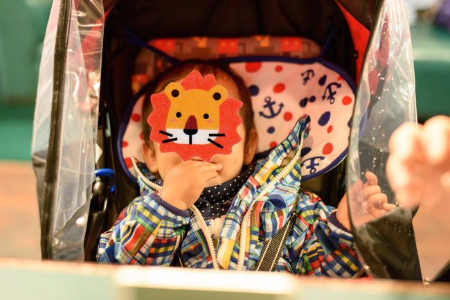 たむすけもバンズをちぎったものを少々。<br /><br />北海道の食べ物も美味しいねぇ  たむすけ。<br /><br />ここはバンズも北海道産にこだわっているというし。