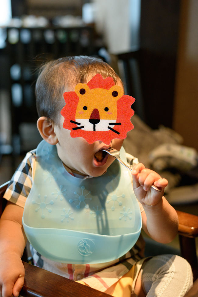 たむすけもパクパクモリモリ。<br />やっぱり美味しいんだね。