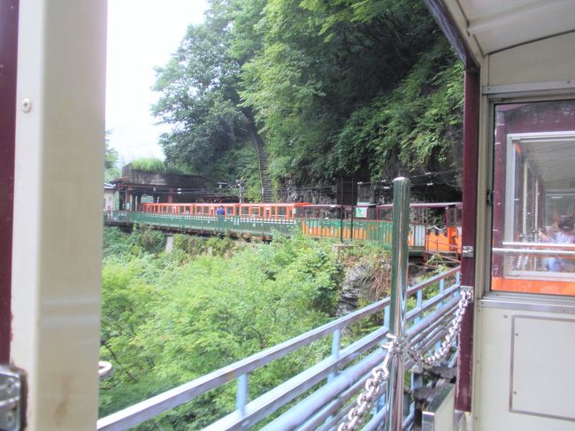 ２号車から撮った、トロッコ電車です。