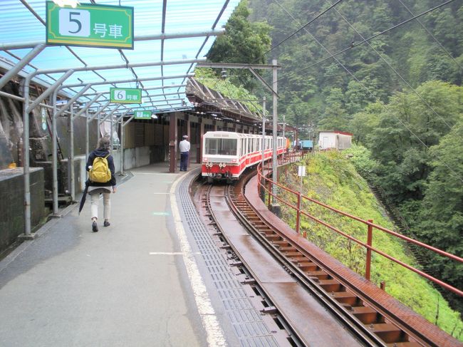 駅に入って来るトロッコ電すアです。