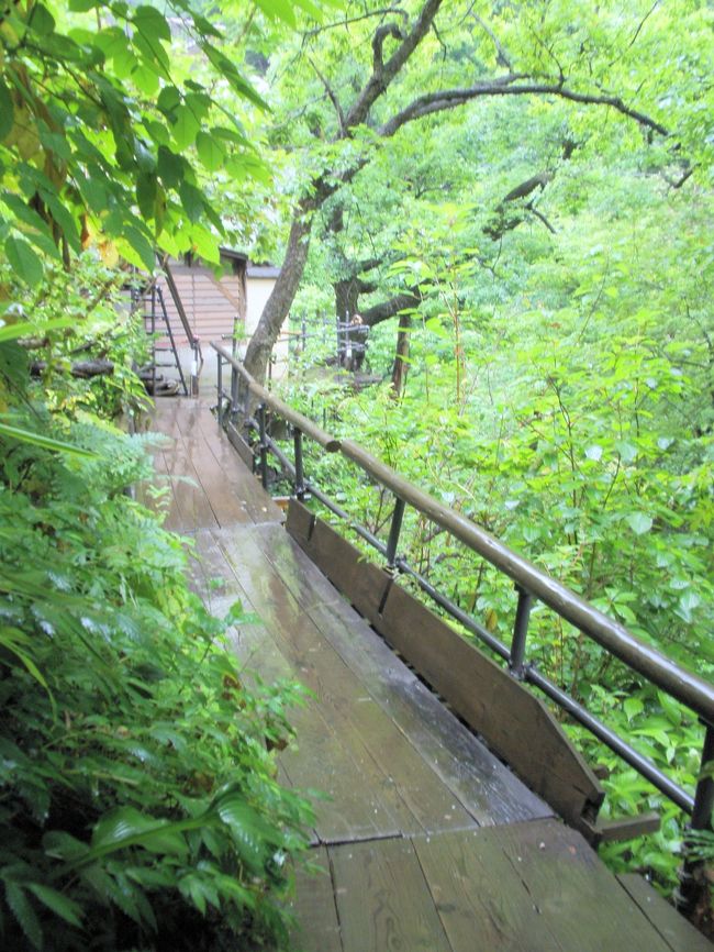 大自然の中を、足元に気をつけて、<br /><br />歩きます。