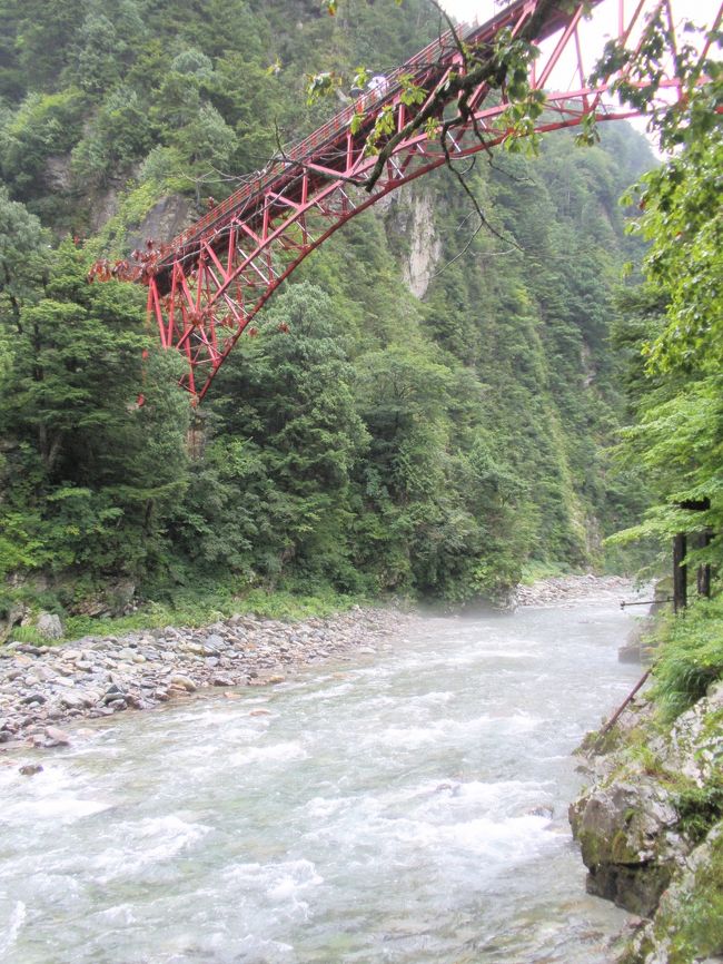 河原から見上げた景色です。