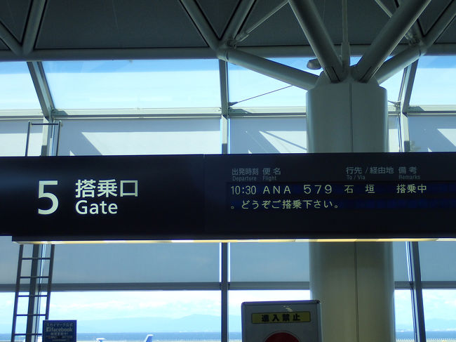 沖縄へ行くのは何年ぶりだろう？<br /><br />石垣の直行便ＡＮＡ５７９便で出発〜<br /><br />１０：３０出発が少し遅れ気味ではありましたが２時間半ほどで…