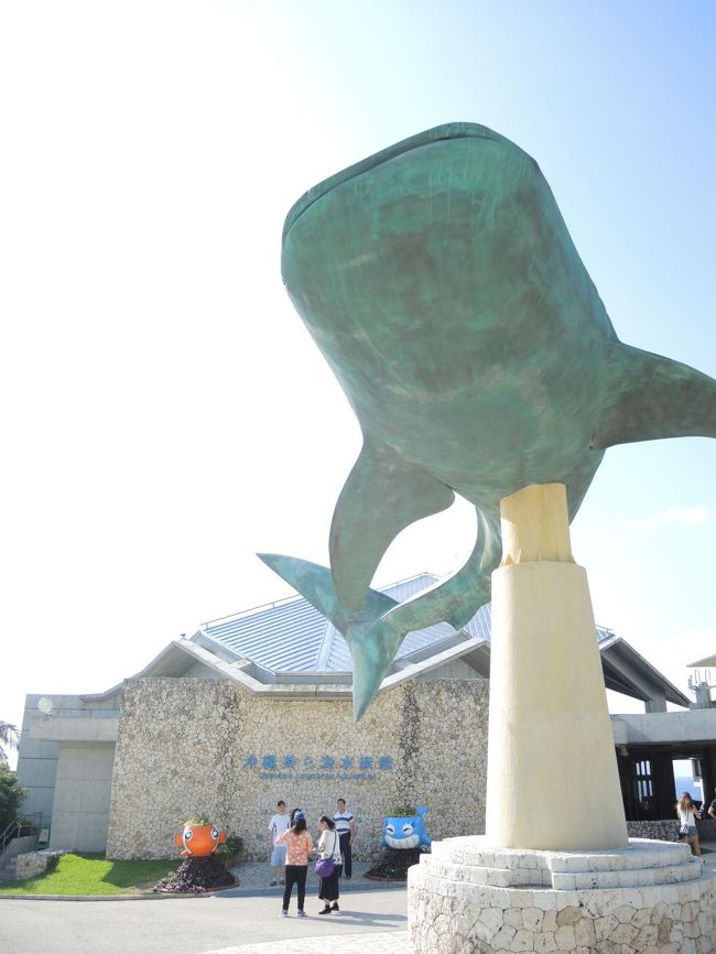 シルバーウィークに沖縄へ 美ら海 本部編 沖縄県の旅行記 ブログ By Pchanさん フォートラベル