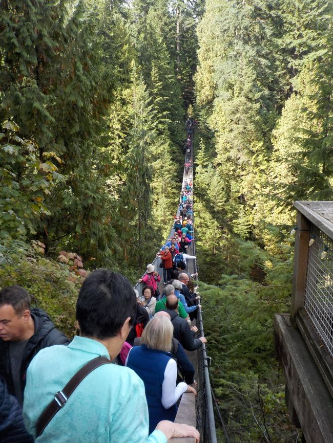 なんじゃこりゃ〜〜<br /><br />混みすぎ、揺れすぎ！