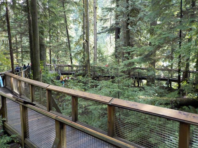 バンクーバーダウンタウンから近いのにこの森林浴。<br /><br />昨日まで雨だったからよけい森の香り。